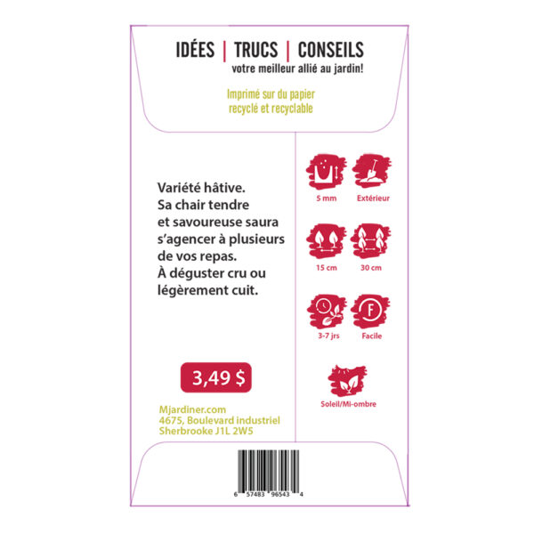 Sachet-semence-mjardiner-Chou-rave-Blanc-de-Vienne-arriere