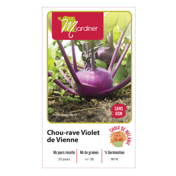 Sachet-semence-mjardiner-Chou-rave-Violet-de-Vienne