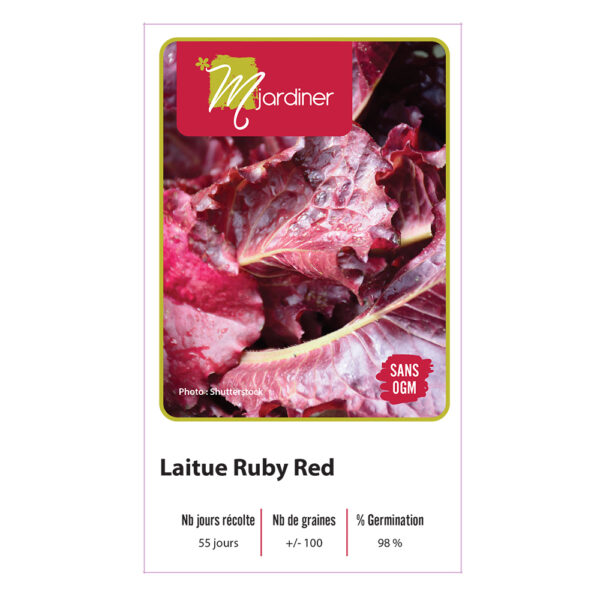 Sachet-semence-mjardiner-Laitue-Ruby-Red