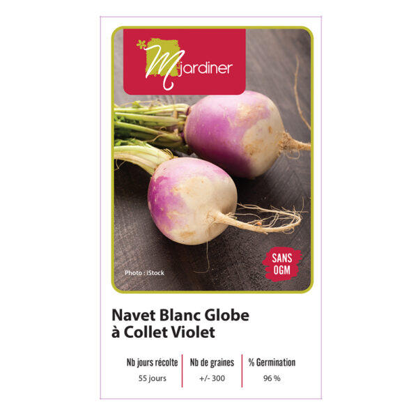 Sachet-semence-mjardiner-Navet-Blanc-Globe-a-Collet-Violet