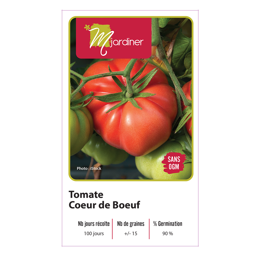 Tomate Coeur de Boeuf - Boutique Mjardiner