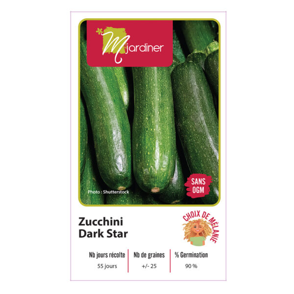 Sachet-semence-mjardiner-Zucchini-Dark-Star