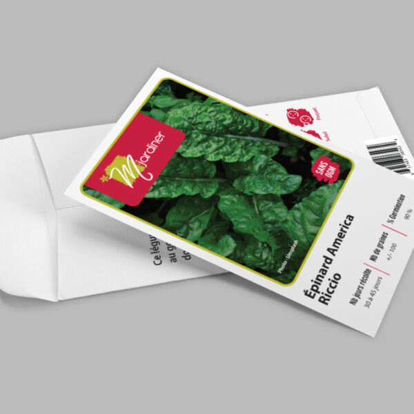 Sachet semence epinard America Riccio