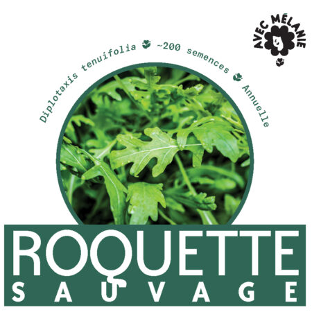 ROQUETTE-SAUVAGE-CLOSE-UP