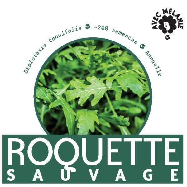 ROQUETTE-SAUVAGE-CLOSE-UP