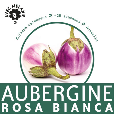 Aubergine-rosa-blanca-terre-promise-avec-melanie-semences