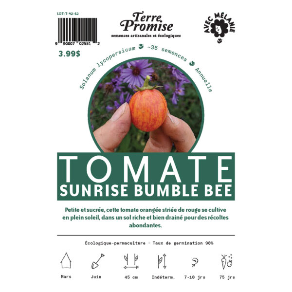 TOMATE-SUNRISE-BUMBLE-BEE