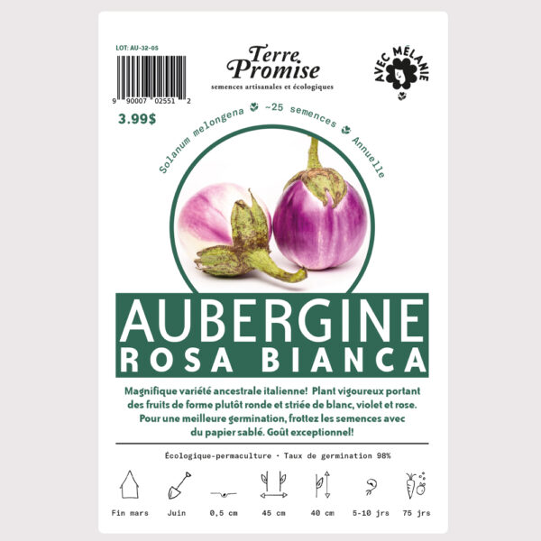 aubergine-rosa-blanca-sachet-semences-1000×1000