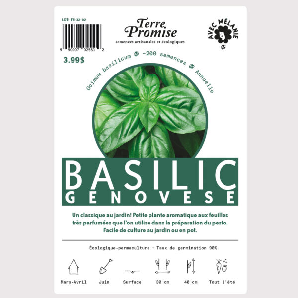 basilic-genovese-sachet-semences-1000×1000