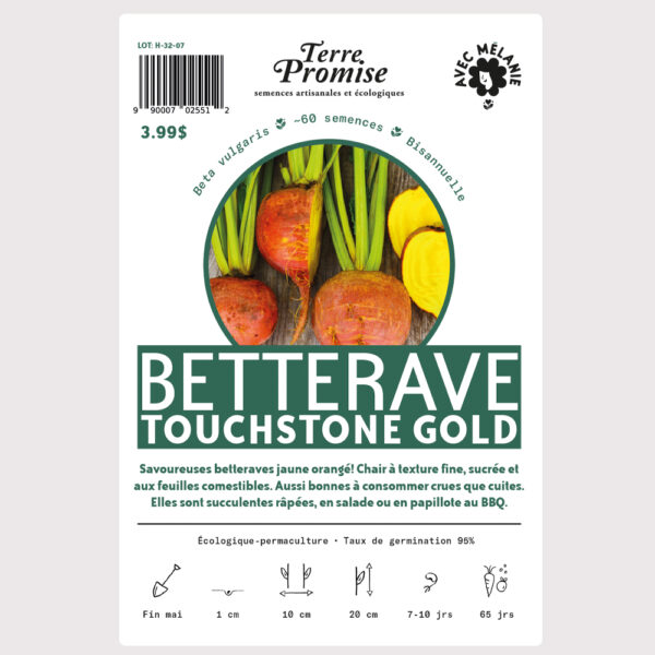 betterave-touchstone-gold-sachet-semences-1000×1000