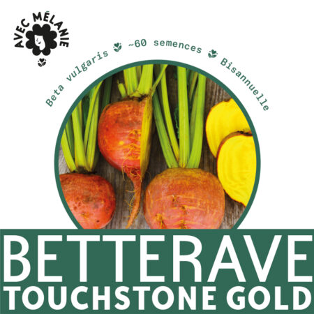 betterave-touchstone-gold-terre-promise-avec-melanie-semences