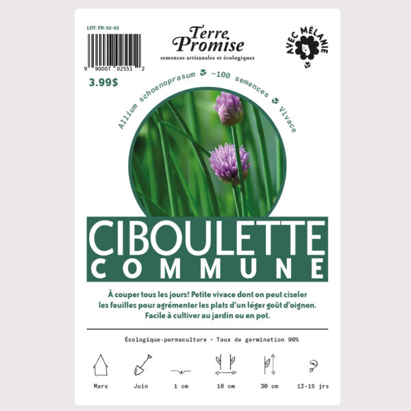 ciboulette-commune-sachet-semences-1000×1000