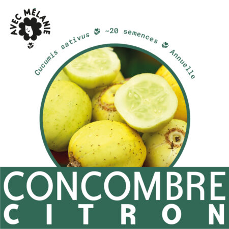 concombre-citron-terre-promise-avec-melanie-semences
