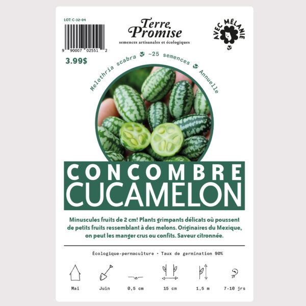 concombre-cucamelon–sachet-semences-1000×1000