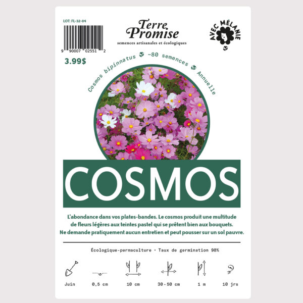 cosmos–sachet-semences-1000×1000