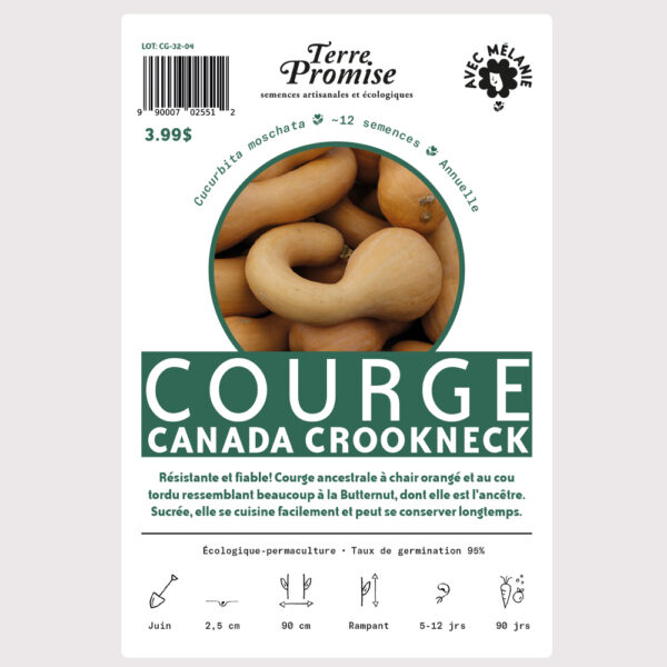 courge-canada-crookneck–sachet-semences-1000×1000
