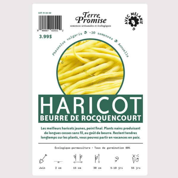 haricot-beurre-de-rocquencourt–sachet-semences-1000×1000