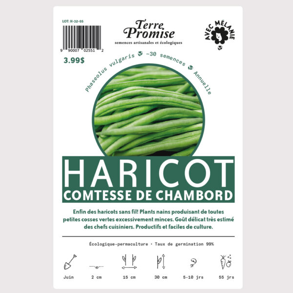 haricot-comtesse-de-chambord–sachet-semences-1000×1000