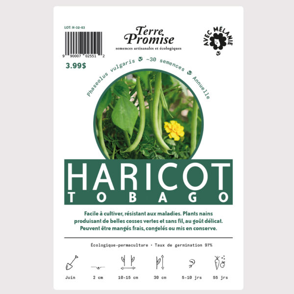 haricot-tobago–sachet-semences-1000×1000