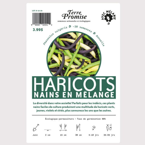 haricots-nains-en-melange–sachet-semences-1000×1000