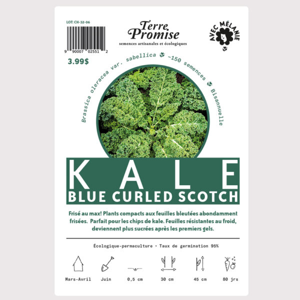 kale-blue-curled-scotch–sachet-semences-1000×1000