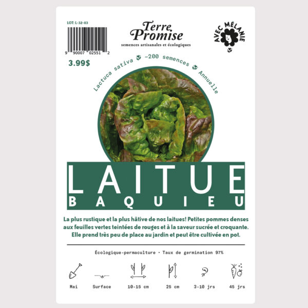 laitue-baquieu–sachet-semences-1000×1000
