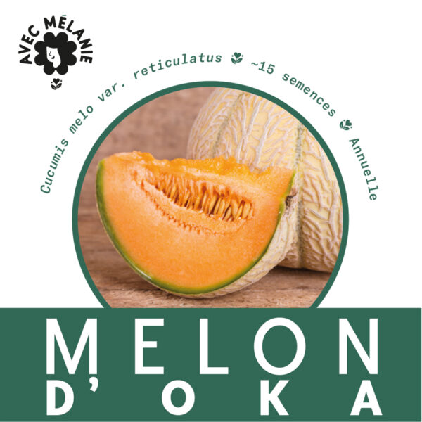 melon-oka-terre-promise-avec-melanie-semences
