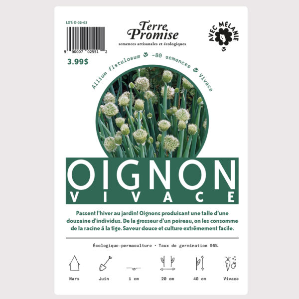 oignon-vivace–sachet-semences-1000×1000