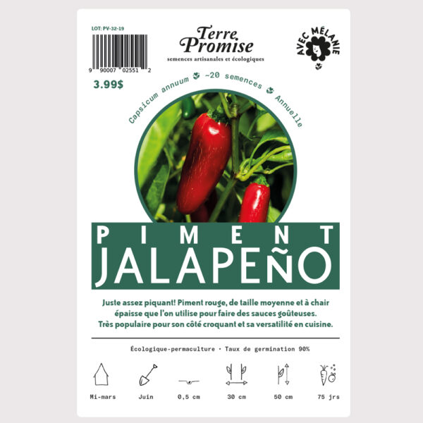 piment-jalapeno–sachet-semences-1000×1000