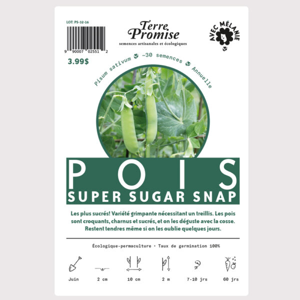 pois-super-sugar-snap–sachet-semences-1000×1000