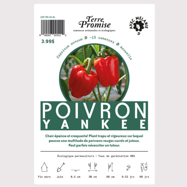 poivron-yankee–sachet-semences-1000×1000