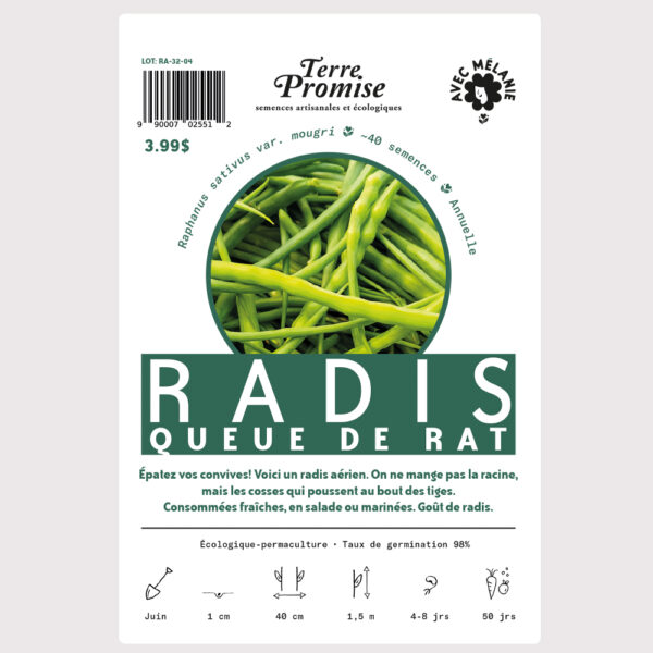 radis-queue-de-rat–sachet-semences-1000×1000