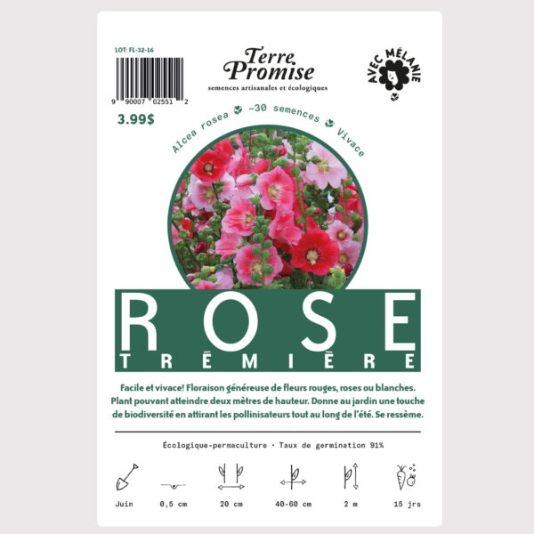 rose-tremiere–sachet-semences-1000×1000