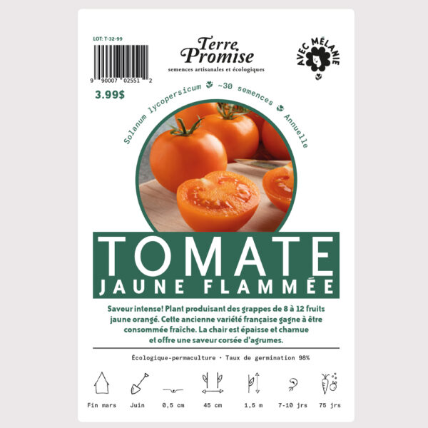 tomate-jaune-flammee–sachet-semences-1000×1000