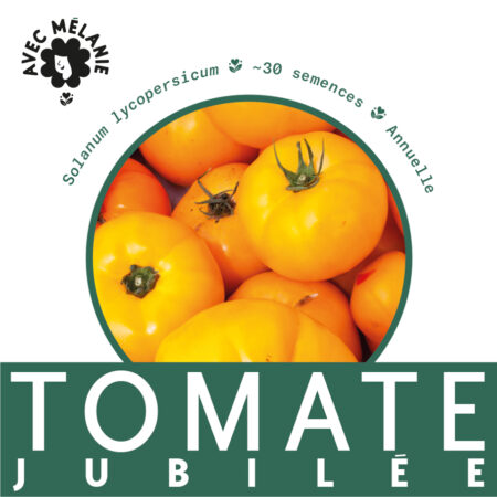 tomate-jubilee-terre-promise-avec-melanie-semences