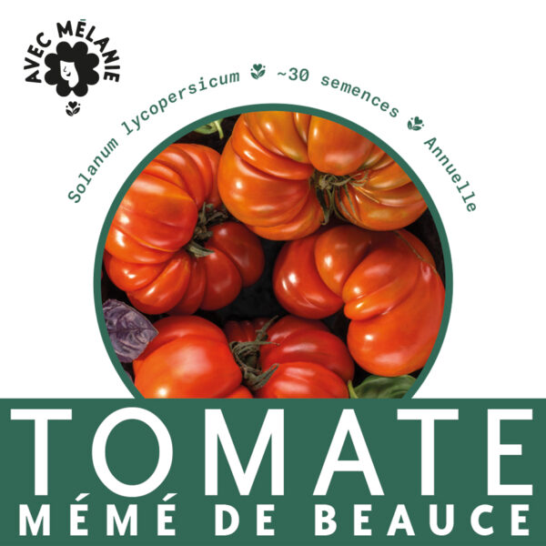 tomate-meme-de-beauce-terre-promise-avec-melanie-semences