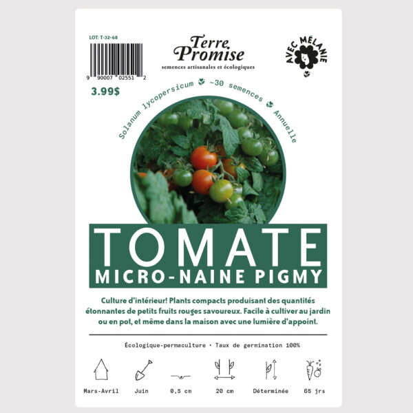 tomate-micro-naine-pigmy