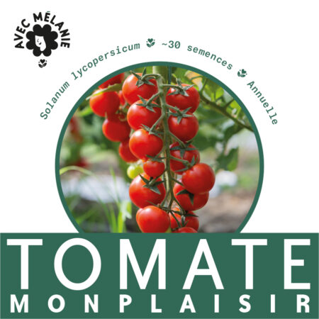 tomate-mon-plaisir-terre-promise-avec-melanie-semences