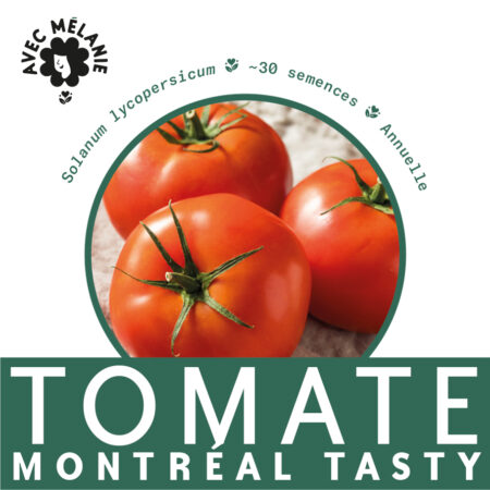 tomate-montreal-tasty-terre-promise-avec-melanie-semences