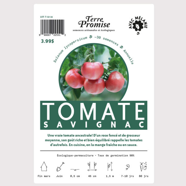 tomate-savignac–sachet-semences-1000×1000