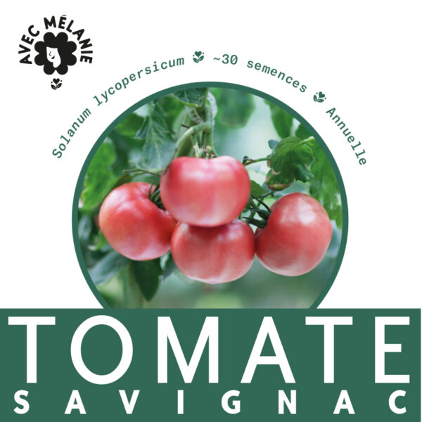 tomate-savignac-terre-promise-avec-melanie-semences