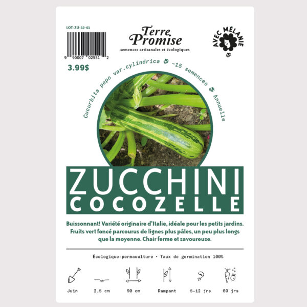 zucchini-cocozelle–sachet-semences-1000×1000