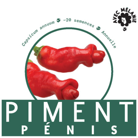 PIMENT-PENIS-CLOSE-UP