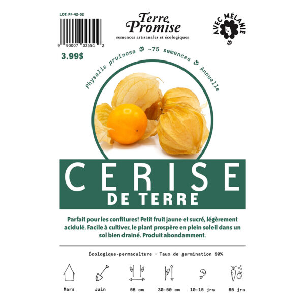 cerise-de-terre-semence